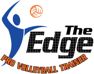 Edge Pro Volleyball